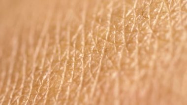 İnsan deri dokusuna yakın çekim 