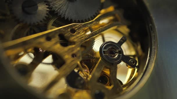 Avvicinamento Meccanismo Orologio Interno — Video Stock