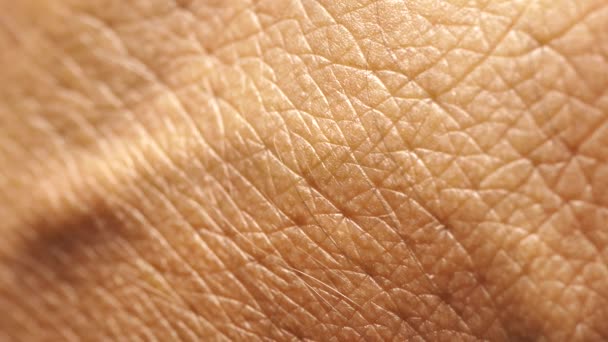 Närbild Mänskliga Hudens Textur — Stockvideo