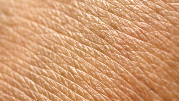 Close Human Skin Texture — Stock Video