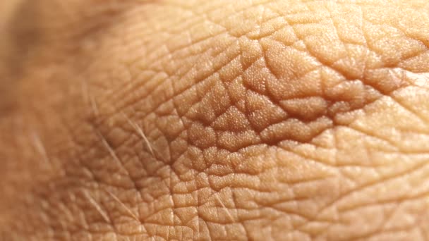 人类的皮肤纹理的特写 — 图库视频影像