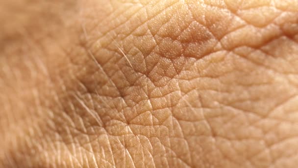 Close Textura Pele Humana — Vídeo de Stock