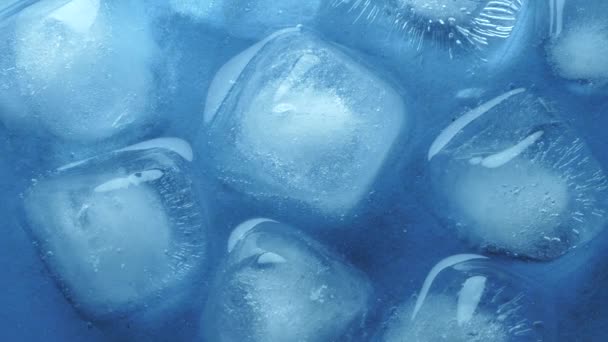 Nahaufnahme Eines Eiswürfels Mit Wasser — Stockvideo