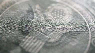 ABD Doları yakın çekim