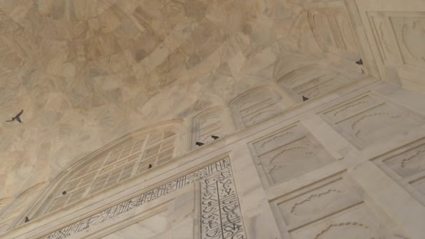 Taj Mahal Hindistan Güzel Inşa Edilmiş Duvarlar — Stok video