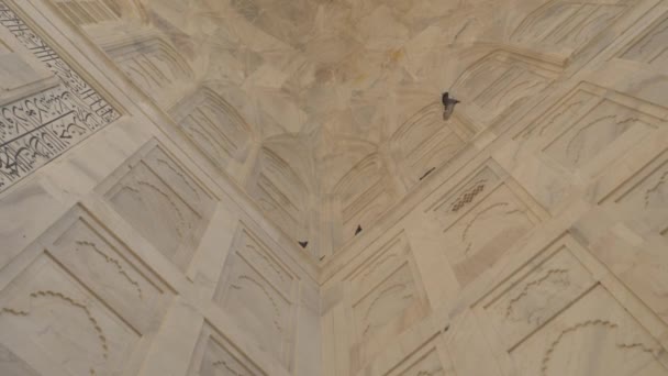 Красиво Построенные Стены Тадж Махала — стоковое видео