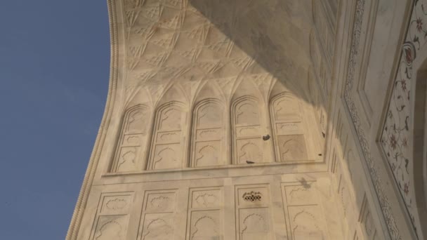 Vackert Byggda Väggar Indiens Taj Mahal — Stockvideo