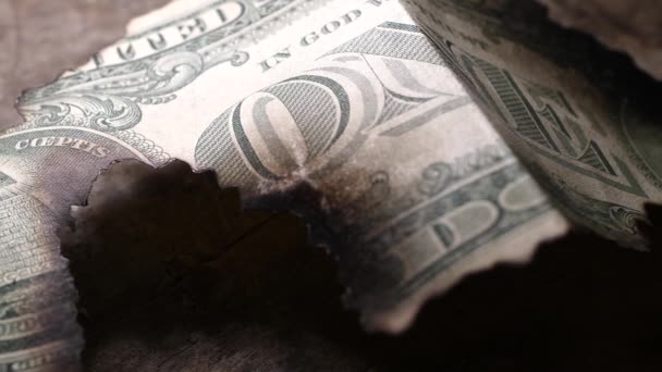 Close Burnt Dollar Notes — Stock Video