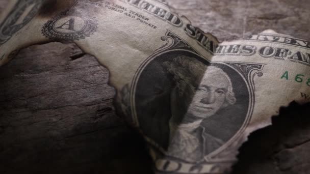 Sluiten Van Verbrande Dollarbiljetten — Stockvideo