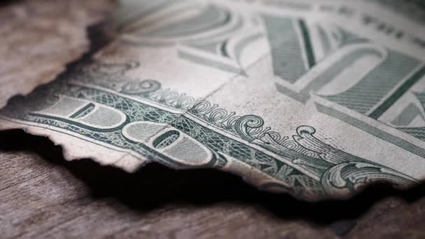 Sluiten Van Verbrande Dollarbiljetten — Stockvideo