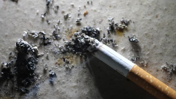 Gros Plan Sur Combustion Des Cigarettes Avec Fumée Des Fumées — Video