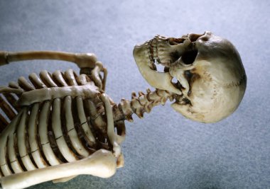 Minyatür İnsan İskeleti Modeli Close Up - İnsan İskeleti