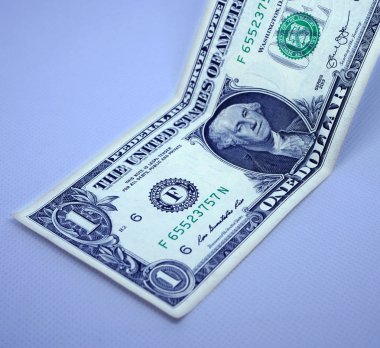 Dolar Para Birimi Notu