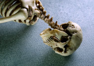 Close Up İnsan İskeleti
