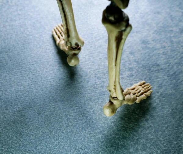 Primo piano scheletro umano — Foto Stock