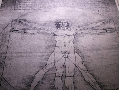 Anatomi Sanat Çizimi