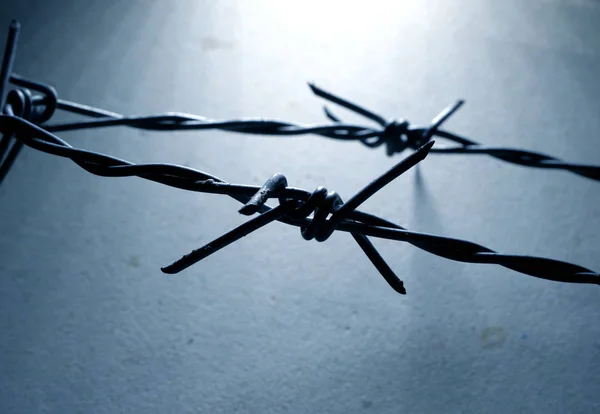 Barbed wire iron — Stock Photo, Image