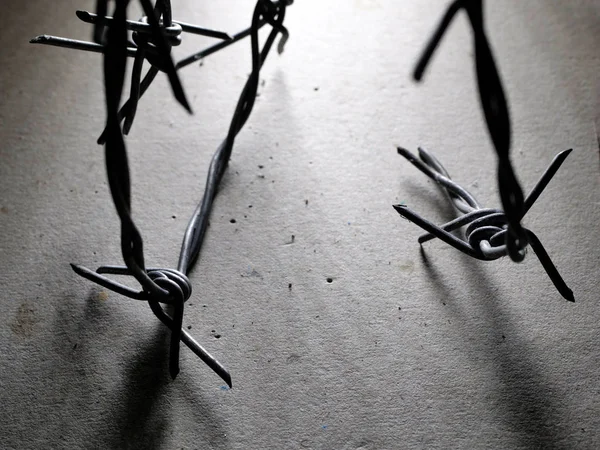 Barbed wire iron — Stock Photo, Image