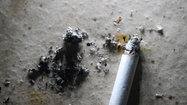 煙と煙で燃えるタバコのクローズアップ — ストック動画