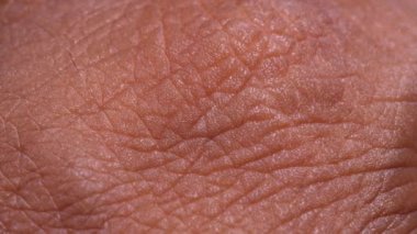 İnsan deri dokusuna yakın çekim 