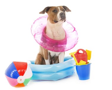 Beyaz arka planda American Stadyumu Teriyeri