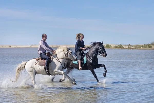 妇女和男子骑马与她的种马在海滩上 — 图库照片