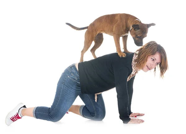 Staffordshire Bull Terrier Woman Front White Background — Stock Photo, Image