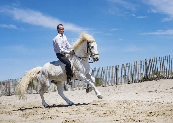 Chevauchant Homme Son Étalon Sur Plage — Photo