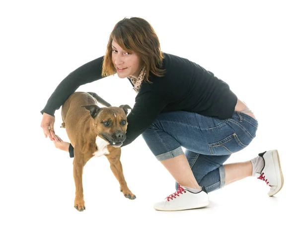 Staffordshire Bull Terrier Woman Front White Background — Stock Photo, Image