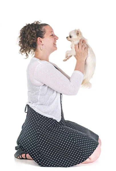 Vrouw Chihuahua Voor Witte Achtergrond — Stockfoto