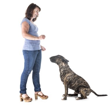 köpek ve beyaz arka plan önünde sahibi