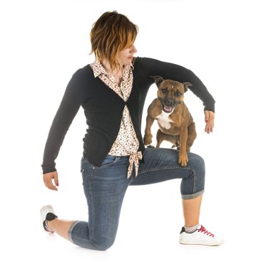 Staffordshire boğa korkunç ve beyaz arka plan önünde kadın