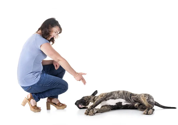 Perro Propietario Delante Fondo Blanco — Foto de Stock