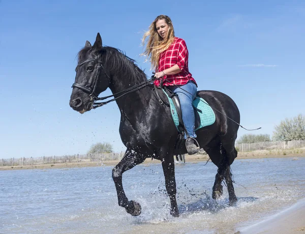 女性のビーチでの彼女の種牡馬とライディング — ストック写真