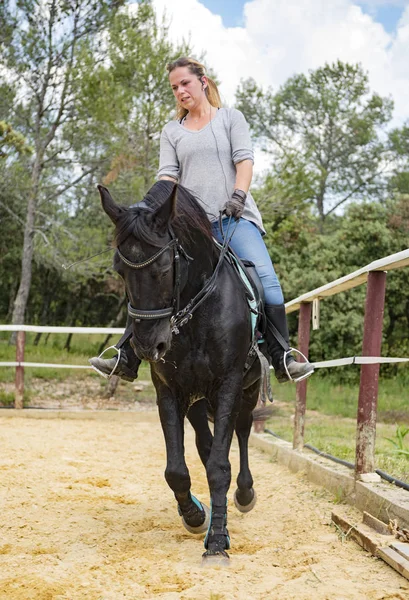 Mulher Cavaleiro Seu Cavalo Preto Estão Treinando — Fotografia de Stock