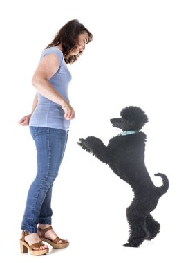 köpek ve beyaz arka plan önünde sahibi