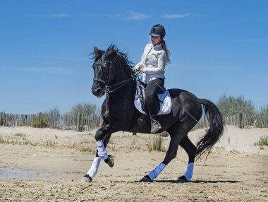 Sahilde kız ve onun aygırı sürme