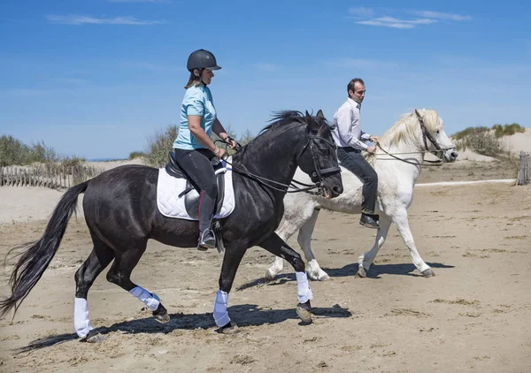 Couple Équitation Leurs Étalons Sur Plage — Photo