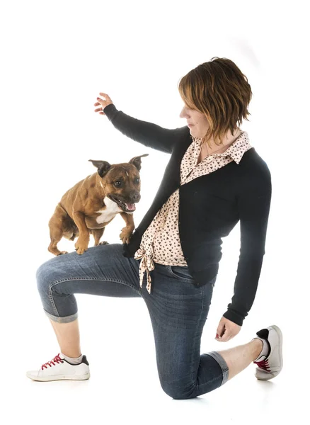 Staffordshire Bulterriër Vrouw Voor Witte Achtergrond — Stockfoto