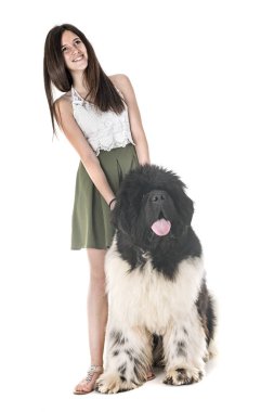 Newfoundland köpeği ve beyaz arka plandaki kadın