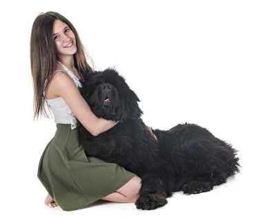 Newfoundland köpeği ve beyaz arka plandaki kadın