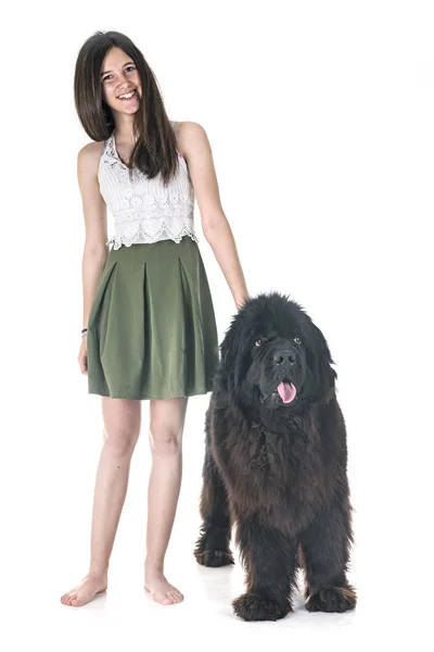 Newfoundland Dog Woman Front White Background — Stock Photo, Image