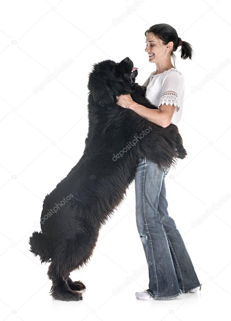 newfoundland dog and woman in front of white background