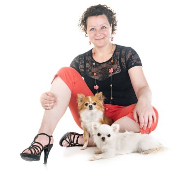 kadın ve beyaz arka plan önünde chihuahua