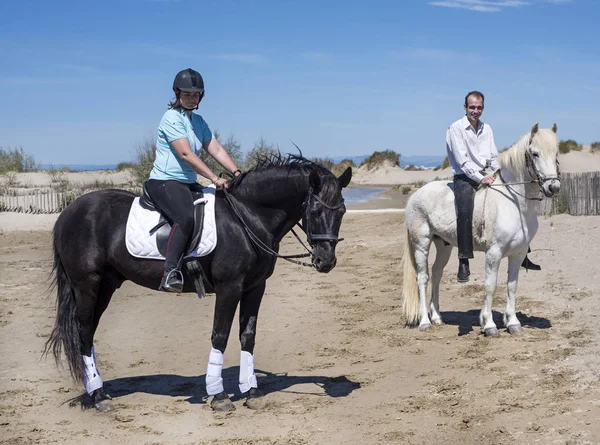 Paar Hun Hengsten Paardrijden Het Strand — Stockfoto