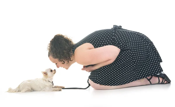 Vrouw Chihuahua Voor Witte Achtergrond — Stockfoto