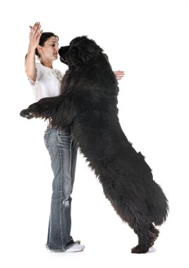 Newfoundland köpeği ve beyaz arka plandaki kadın