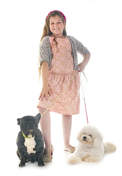 Junges Mädchen Mit Ihren Kleinen Hunden Studio — Stockfoto