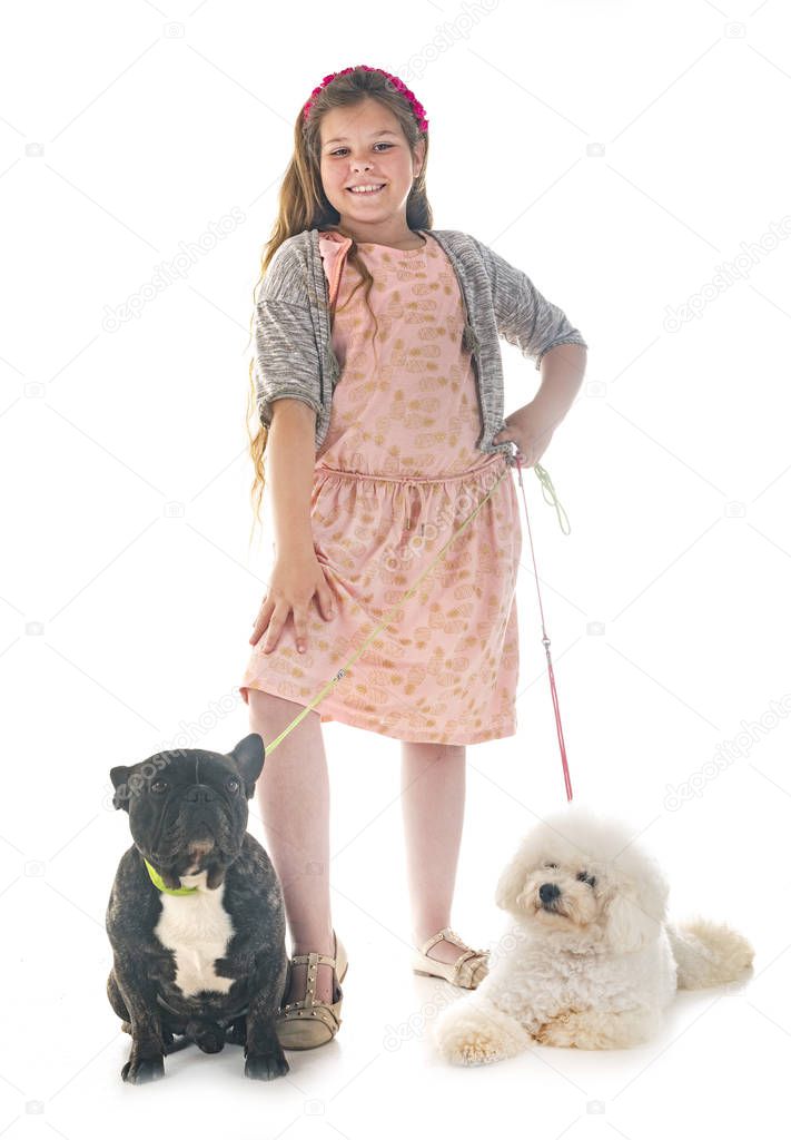 young girl with her little dogs in studio