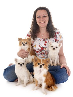 kadın ve beyaz arka plan önünde chihuahuas